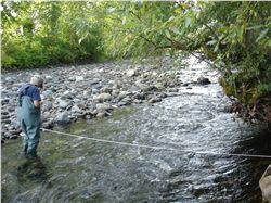 Lostine River after agreement to decrease irrigation diversions